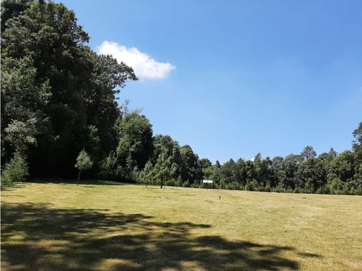 Land in Amanalco de Becerra, Amanalco