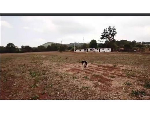 Land in Omitlán de Juárez, Hidalgo