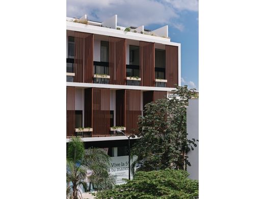 ‏דירה ב  פלאיה דל כרמן
, Solidaridad