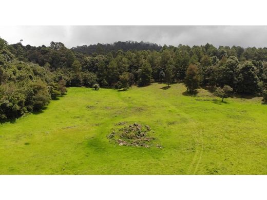 토지 / Valle de Bravo, Estado de México