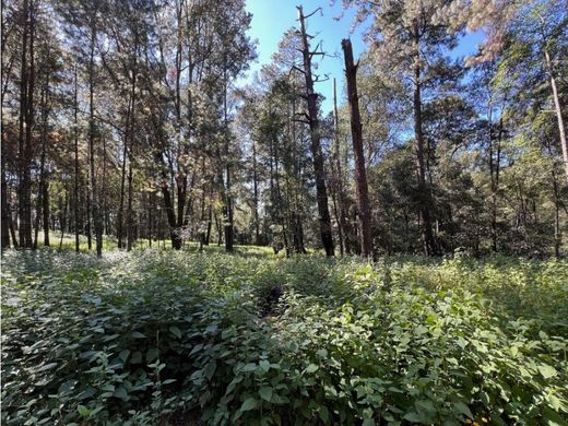 Αγροτεμάχιο σε Valle de Bravo, Estado de México