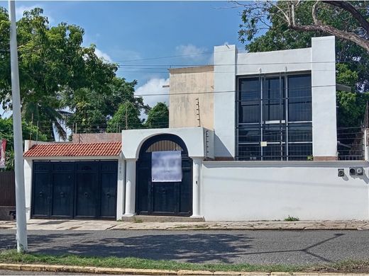 호화 저택 / Villahermosa, Centro