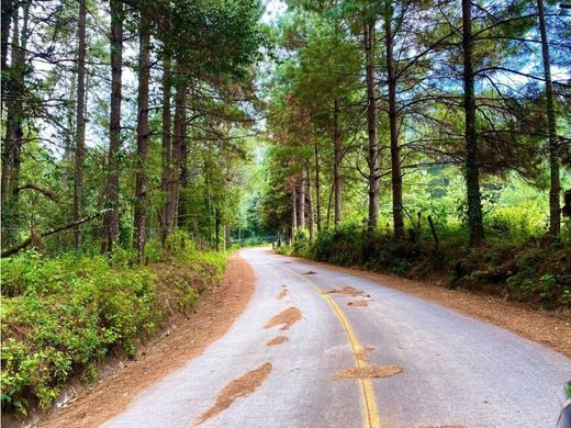 토지 / Valle de Bravo, Estado de México