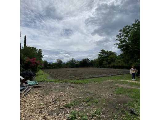 Land in Yautepec, Morelos