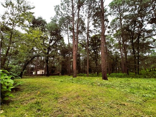 Teren w Valle de Bravo, Estado de México