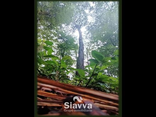 أرض ﻓﻲ Valle de Bravo, Estado de México