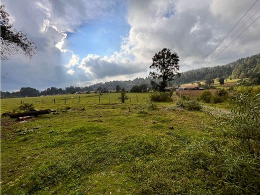 토지 / Valle de Bravo, Estado de México