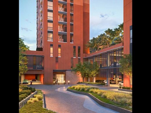 Daire Monterrey, Estado de Nuevo León