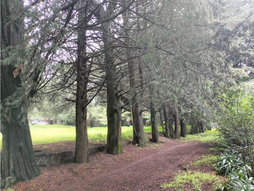 Chalet in Tlalpan, The Federal District