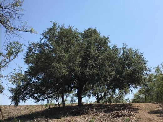 토지 / Santiago, Estado de Nuevo León