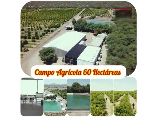 Rural or Farmhouse in Hermosillo, Sonora