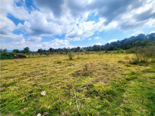 토지 / Valle de Bravo, Estado de México