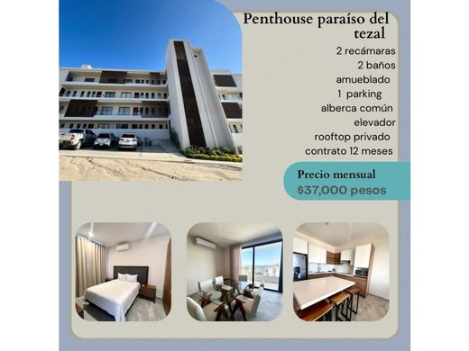 Пентхаус, Кабо-Сан-Лукас, Los Cabos