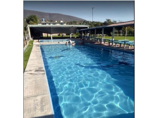 Land in Tepetzingo, Emiliano Zapata