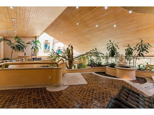 Miguel Hidalgo, Ciudad de Méxicoの高級住宅