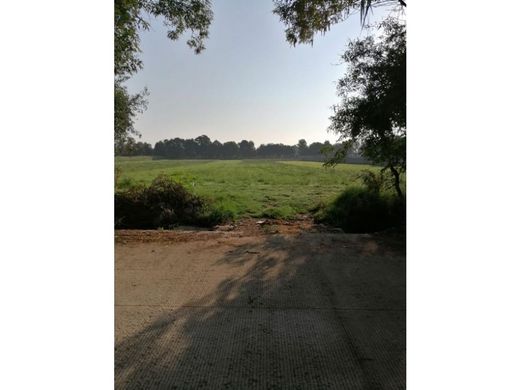 Arsa Cuautlancingo, Estado de Puebla