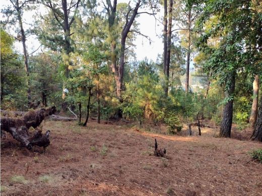 Land in Valle de Bravo, Estado de México