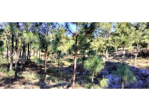 Terreno en Omitlán de Juárez, Estado de Hidalgo