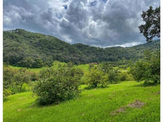 Land in Valle de Bravo, Estado de México