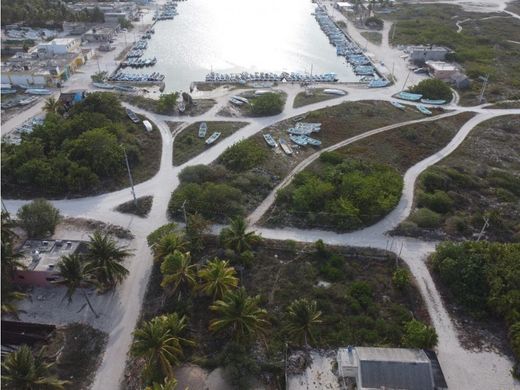 Grond in Tizimín, Yucatán