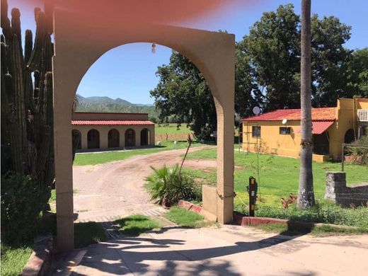 Otel Babicanora, Arizpe