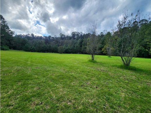 Terreno a Valle de Bravo, Messico (stato federato)