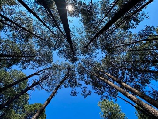 Teren w Valle de Bravo, Estado de México