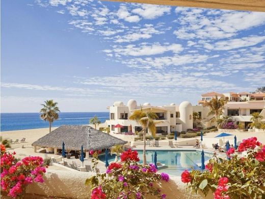 Cabo San Lucas, Los Cabosのアパートメント・コンプレックス
