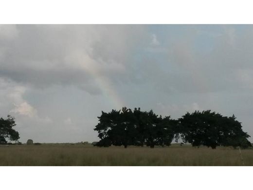 Farmhouse in Balancán, Tabasco
