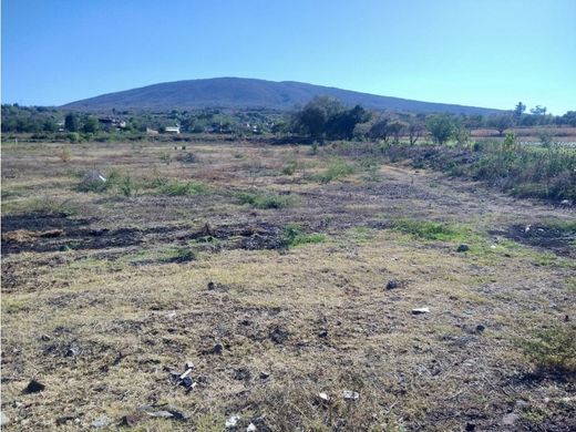 Arsa Jacona de Plancarte, Estado de México