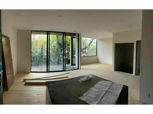 Apartment in Colonia Benito Juárez, Villa de Tezontepec
