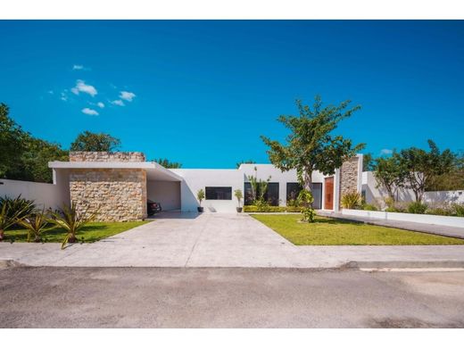 호화 저택 / Mérida, Estado de Yucatán