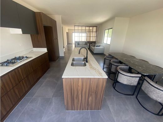 호화 저택 / Monterrey, Estado de Nuevo León