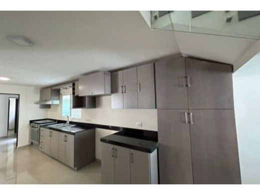 호화 저택 / San Pedro, China