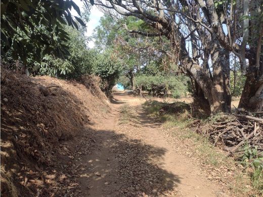 Land in Coatepec Harinas, Ixtapan de la Sal