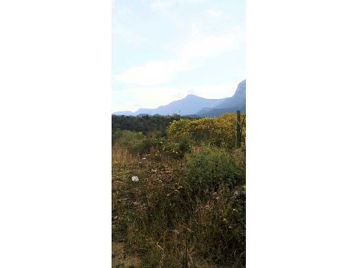 ‏קרקע ב  מונטריי, Monterrey