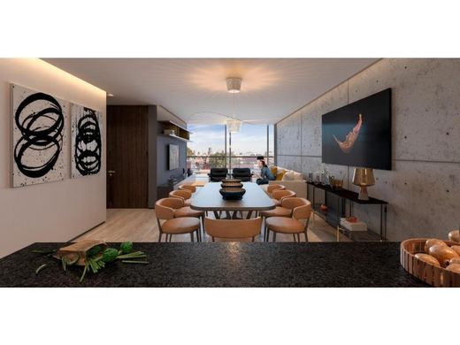 Apartment in Mexico City, The Federal District