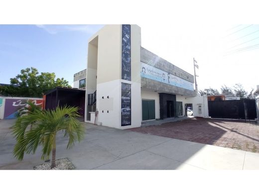 Γραφείο σε Playa del Carmen, Solidaridad