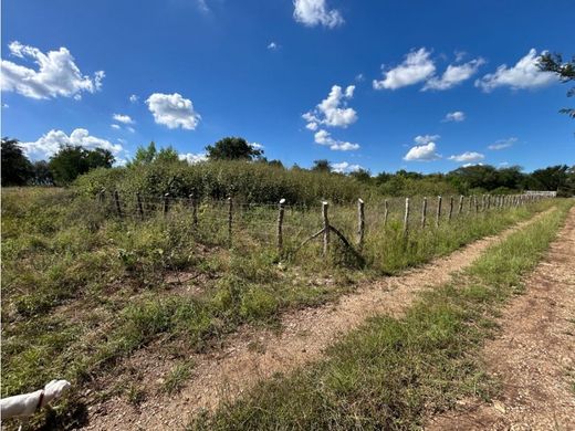 Land in Montemorelos, Nuevo León