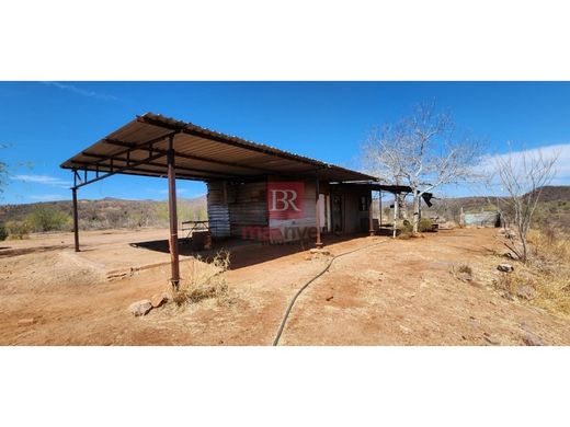 Teren w Ciudad Obregón, Cajeme