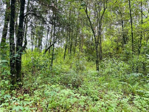 Teren w Valle de Bravo, Estado de México