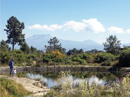 Terreno a Valle de Bravo, Messico (stato federato)
