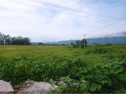 Участок, Ixtlahuacán de los Membrillos, Estado de Jalisco