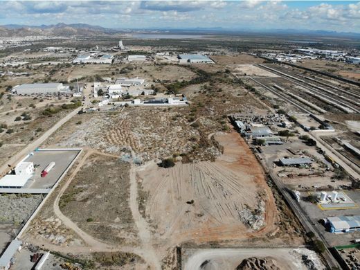 Arsa Hermosillo, Estado de Sonora