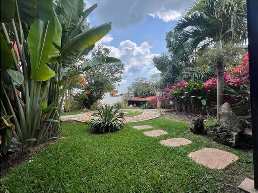 호화 저택 / Mérida, Estado de Yucatán