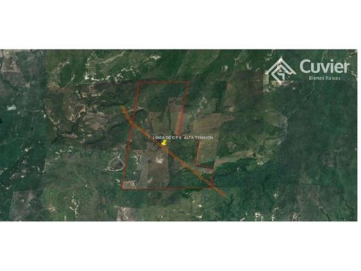 전원/농가 / González, Estado de Tamaulipas