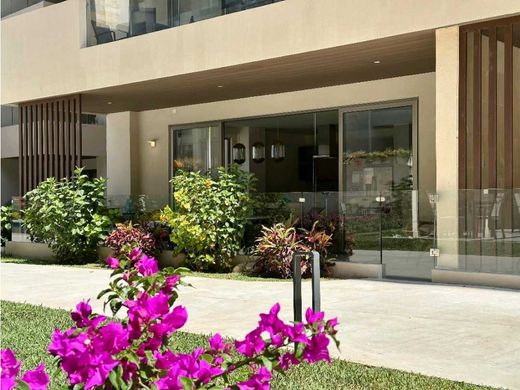 套间/公寓  Cabo San Lucas, Los Cabos