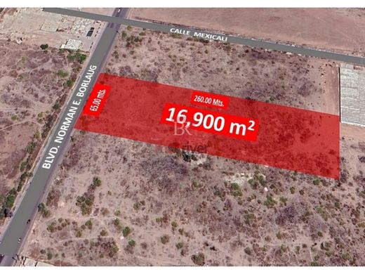 Teren w Ciudad Obregón, Cajeme