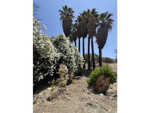 Ensenada, Estado de Baja Californiaの土地