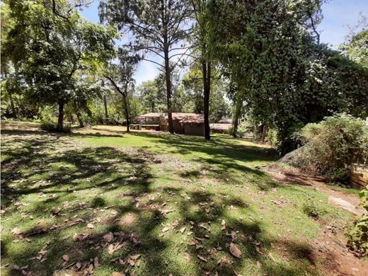 토지 / Valle de Bravo, Estado de México